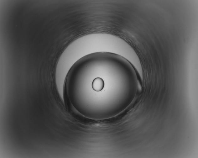 X0000089340364200706291006