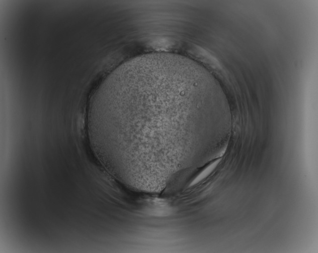 X0000089340365200706291006
