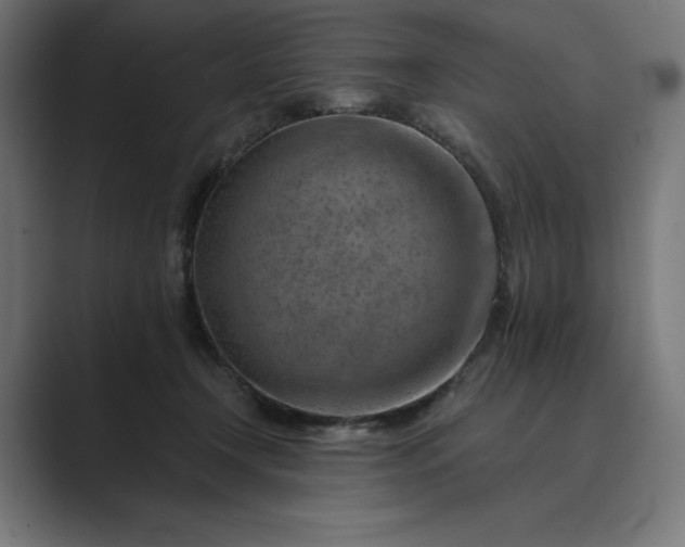 X0000089340366200706291006