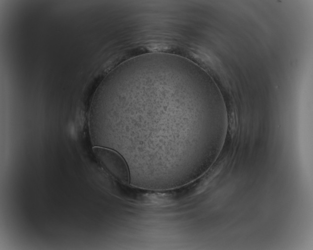 X0000089340367200706291006