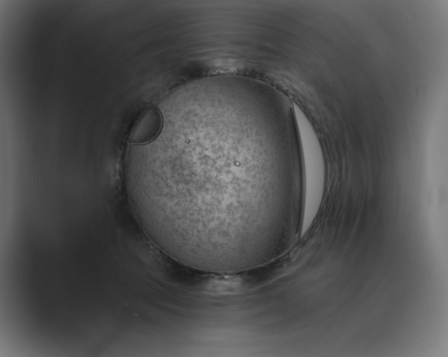 X0000089340369200706291006