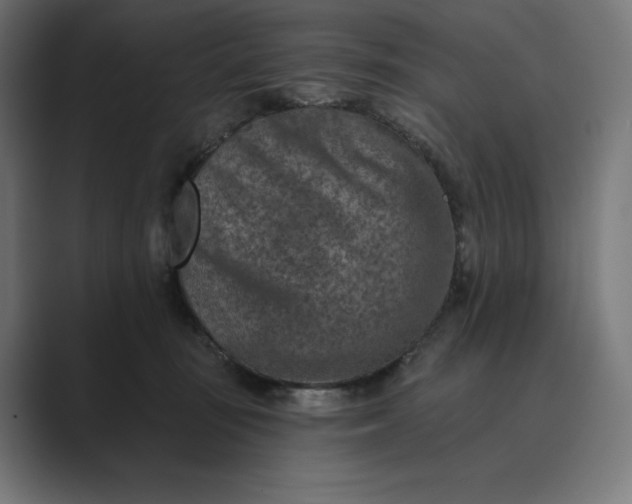 X0000089340371200706291006