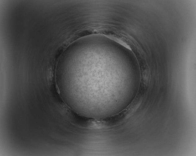 X0000089340372200706291006