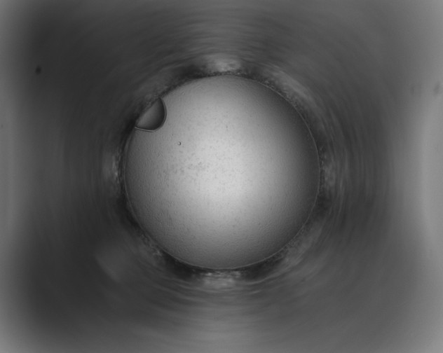 X0000089340373200706291006