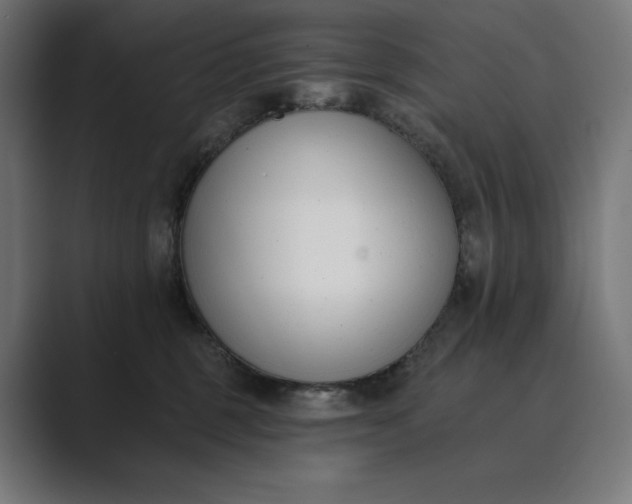X0000089340375200706291006