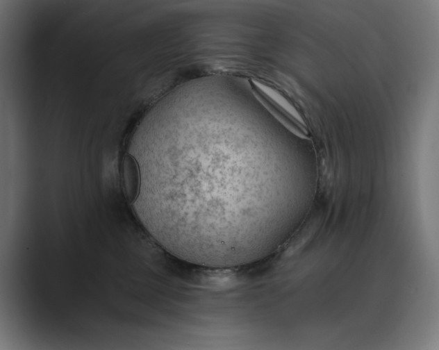 X0000089340377200706291006