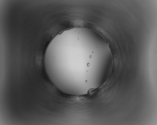 X0000089340379200706291006