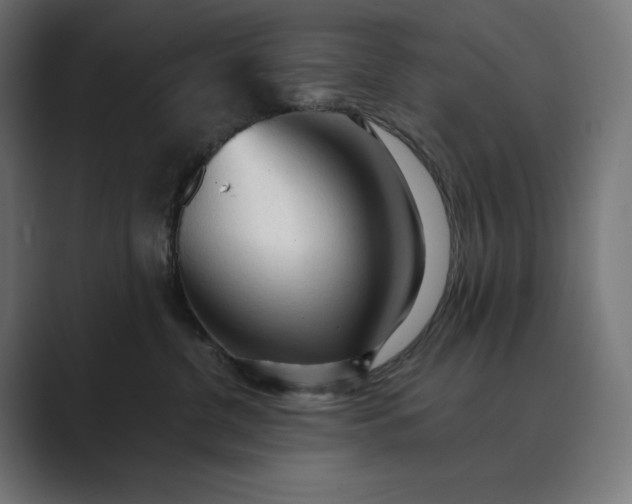 X0000089340380200706291006
