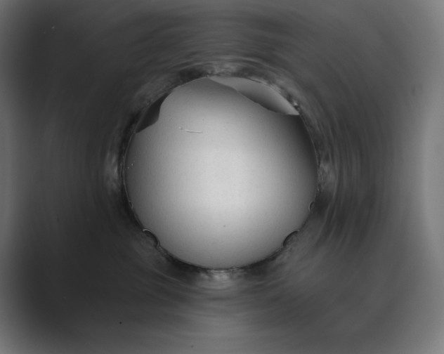 X0000089340381200706291006