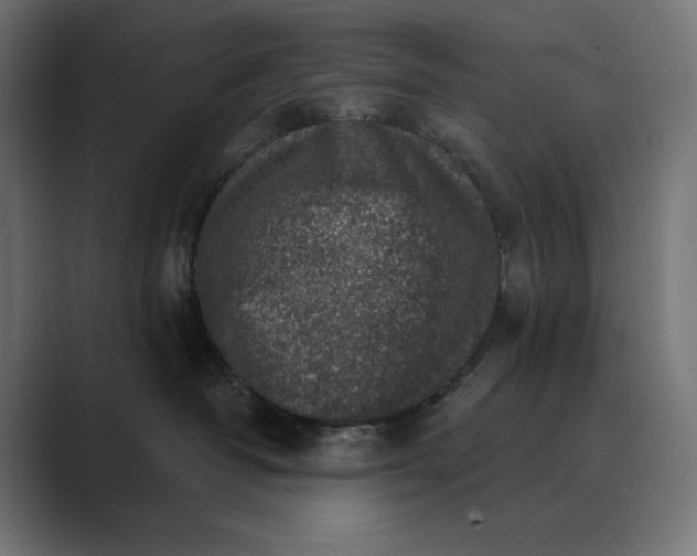 X0000089340382200706291006