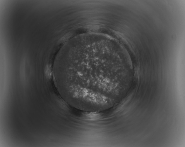 X0000089340383200706291006