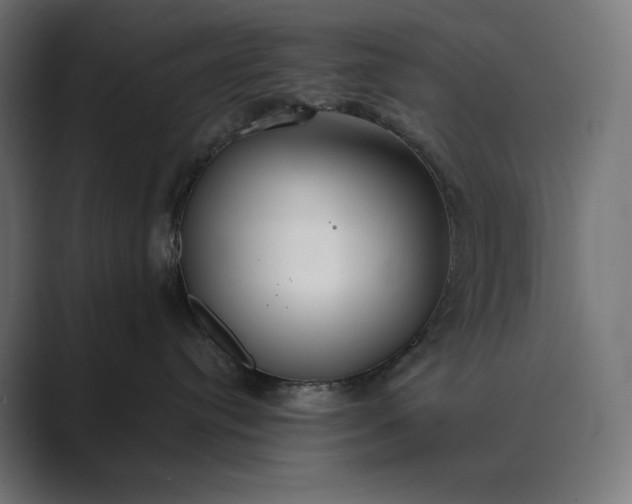 X0000089340384200706291006