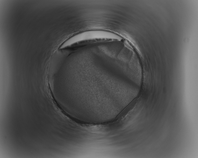X0000089340385200706291005
