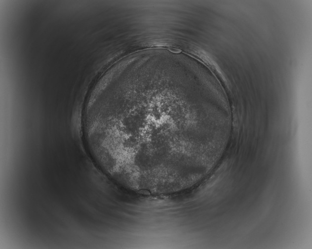 X0000089340386200706291005