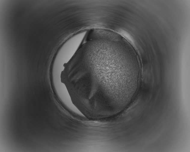 X0000089340389200706291005