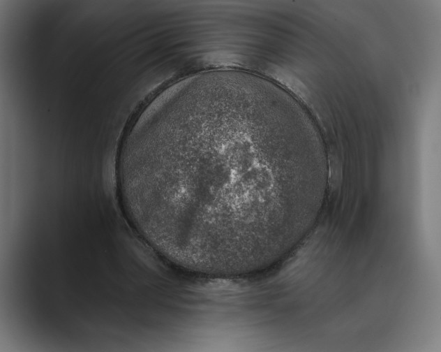 X0000089340390200706291005
