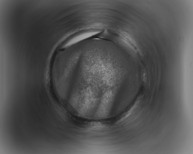 X0000089340392200706291005