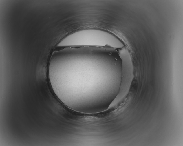 X0000089340393200706291005