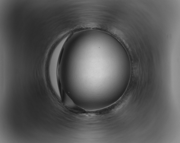 X0000089340395200706291005