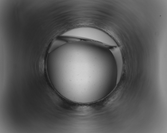 X0000089340397200706291005