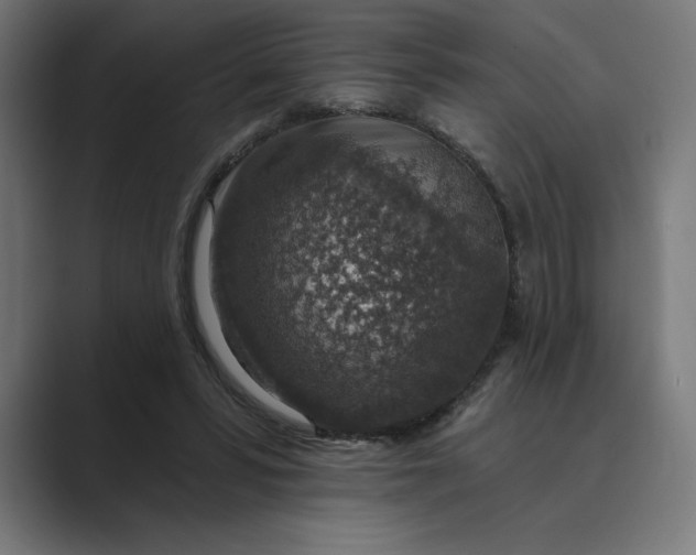 X0000089340399200706291005