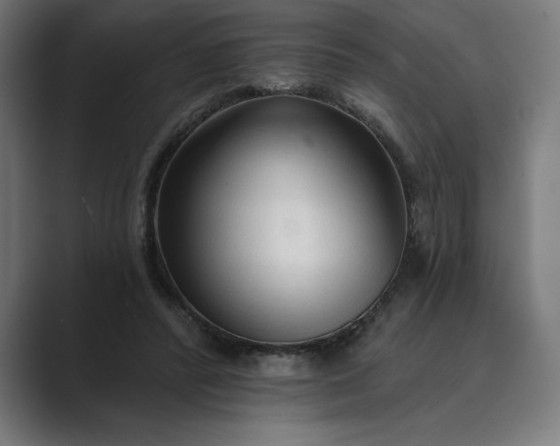 X0000089340400200706291005
