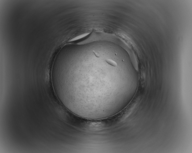 X0000089340401200706291005