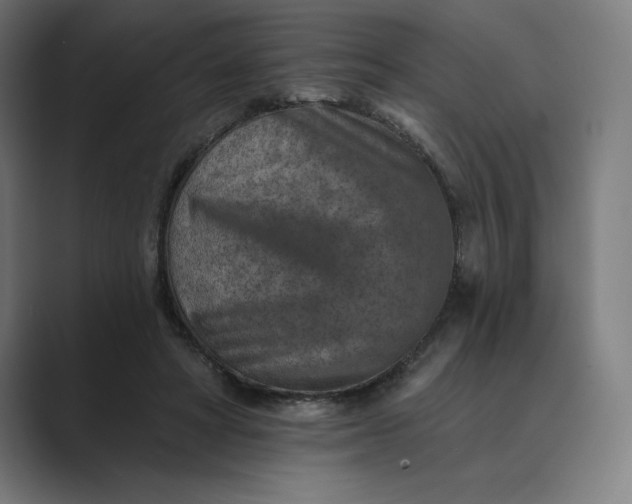 X0000089340402200706291005