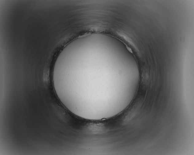 X0000089340403200706291005