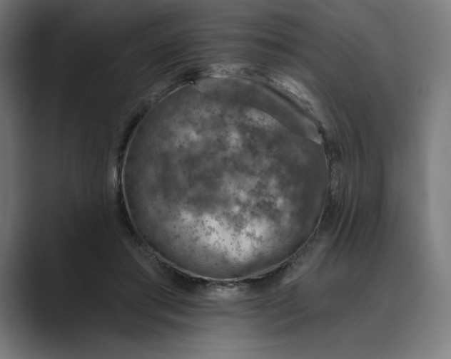 X0000089340405200706291005