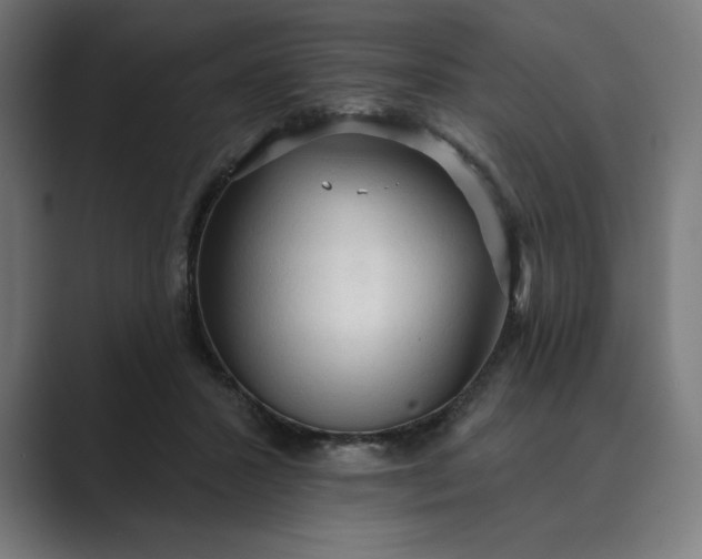 X0000089340407200706291005