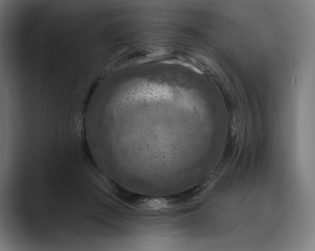 X0000089340409200706291005