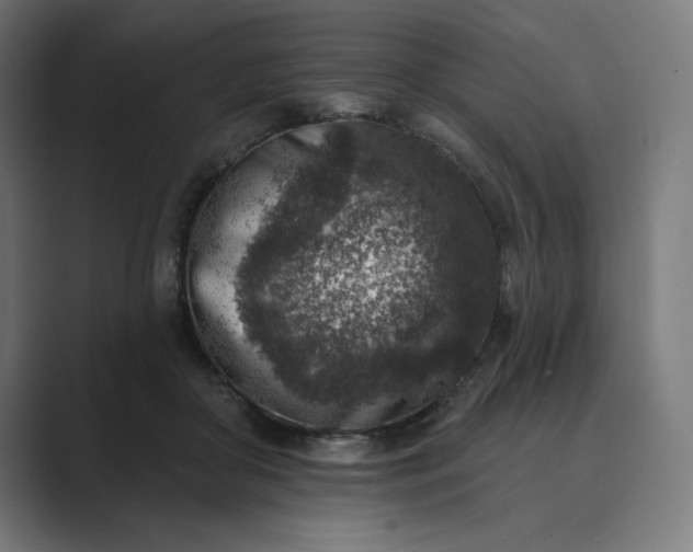 X0000089340410200706291005