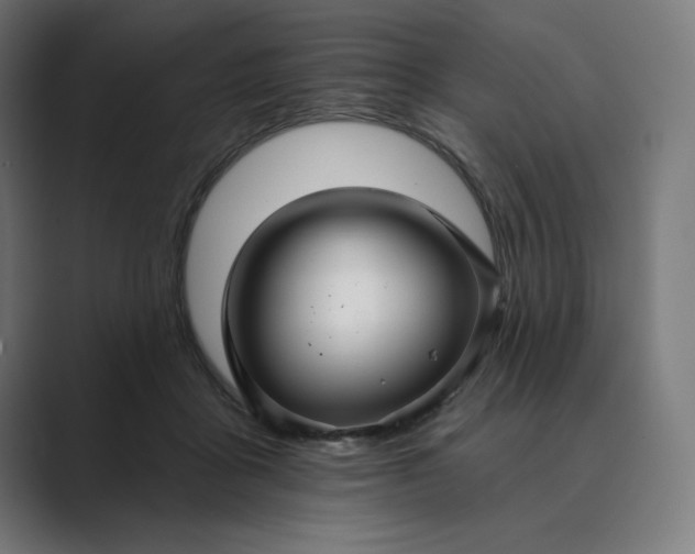 X0000089340411200706291005