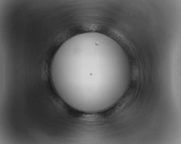 X0000089340414200706291005
