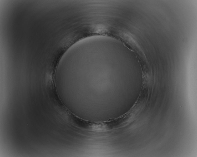 X0000089340415200706291005