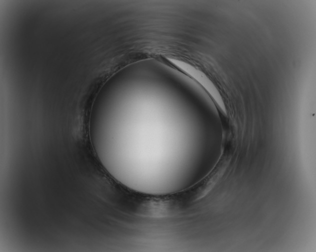 X0000089340416200706291005