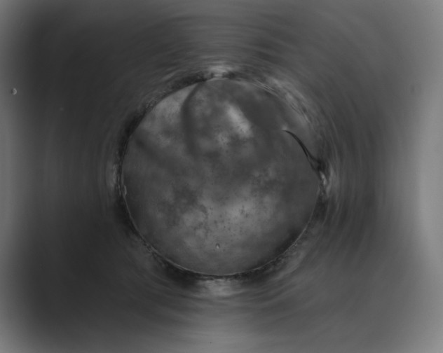 X0000089340417200706291005