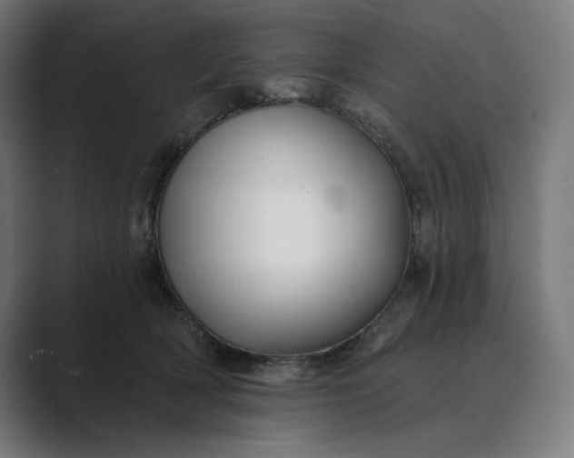 X0000089340418200706291005