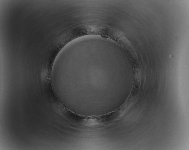 X0000089340419200706291005