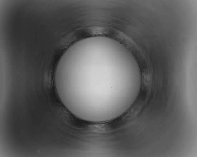 X0000089340422200706291005