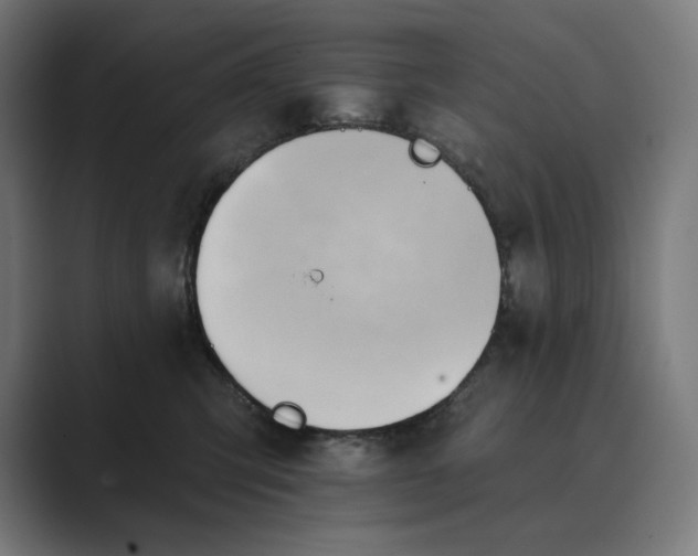X0000089340423200706291005