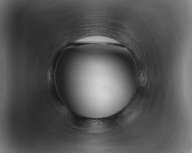 X0000089340424200706291005