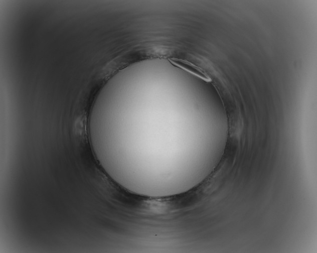X0000089340425200706291005