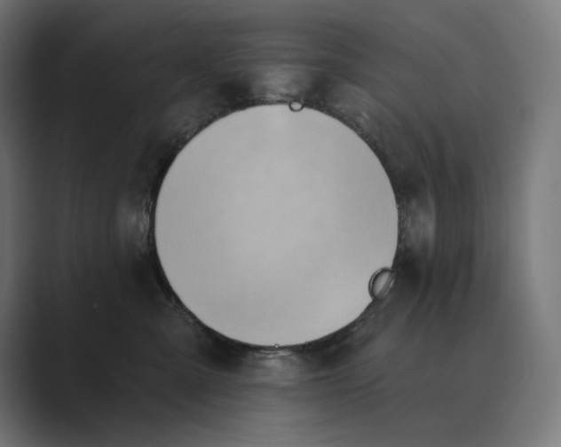 X0000089340427200706291005