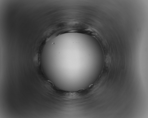 X0000089340428200706291005