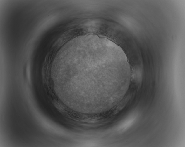X0000089340431200706291005