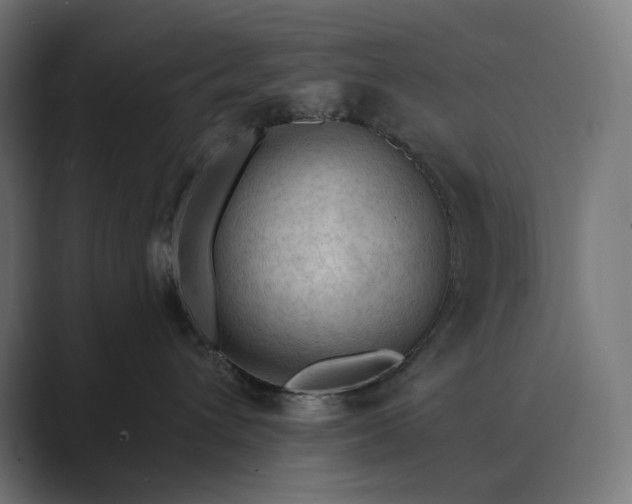 X0000089340432200706291005