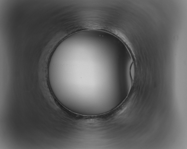 X0000089340433200706291004