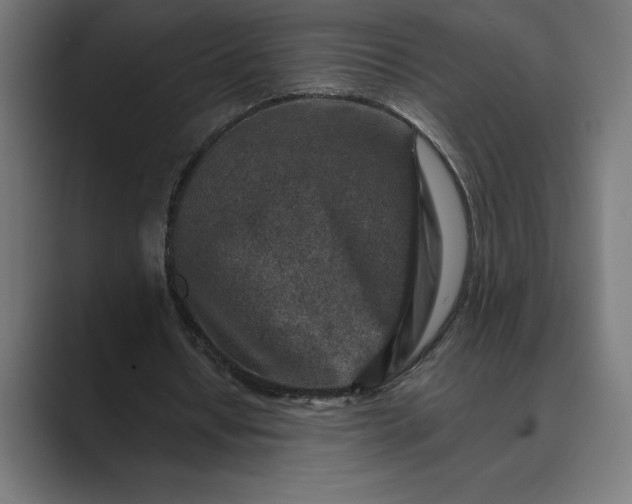 X0000089340434200706291004